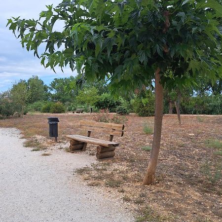 Studio Proche De Perpignan Peyrestortes Kültér fotó