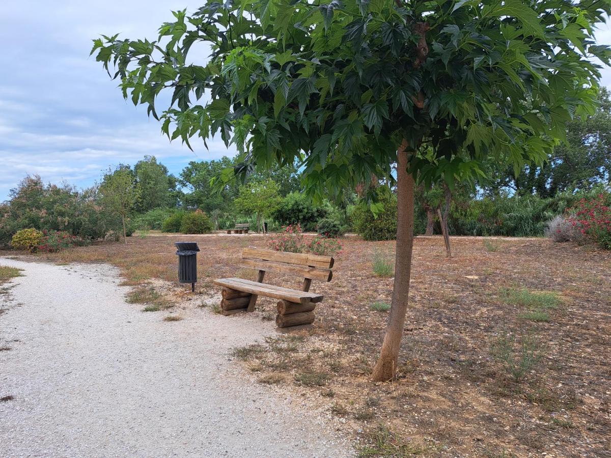 Studio Proche De Perpignan Peyrestortes Kültér fotó